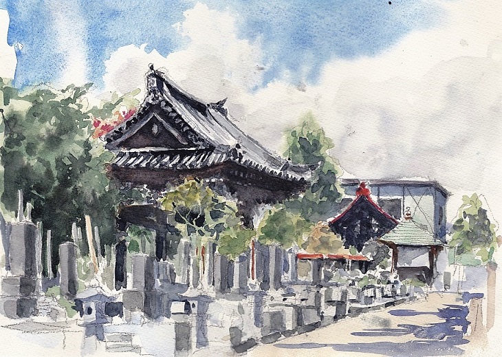 �L�m����̐��ʋ���