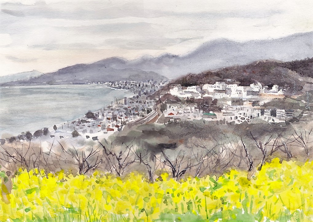 �L�m����̐��ʋ���