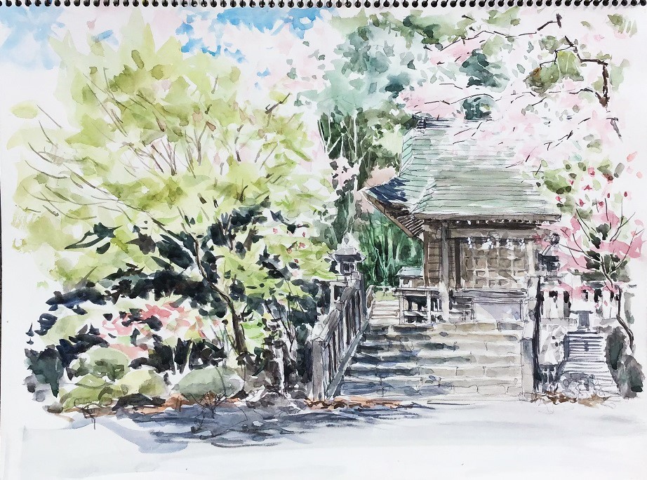 �L�m����̐��ʋ���