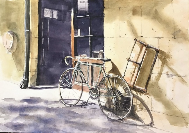 �L�m����̐��ʋ���