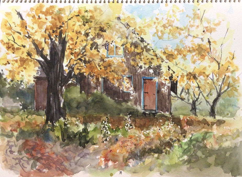 �L�m����̐��ʋ���