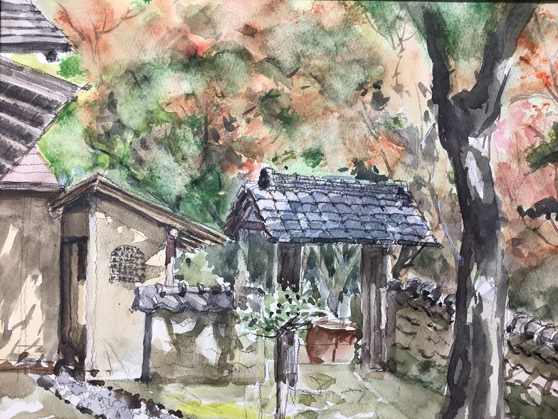 �L�m����̐��ʋ���