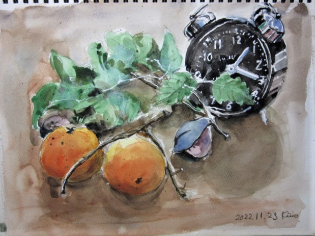 �L�m����̐��ʋ���