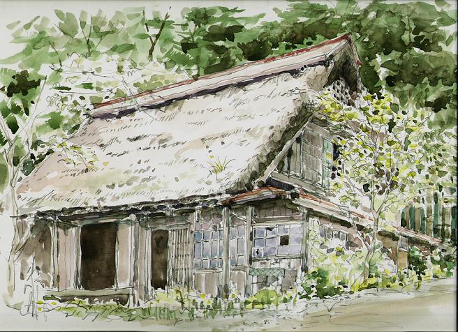 �L�m����̐��ʋ���