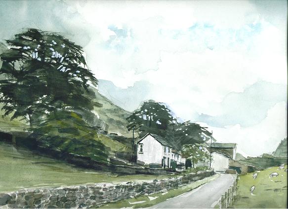 �L�m����̐��ʋ���