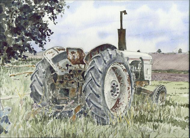 �L�m����̐��ʋ���