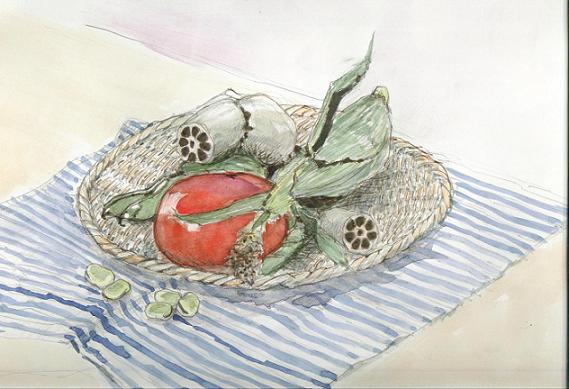 �L�m����̐��ʋ���