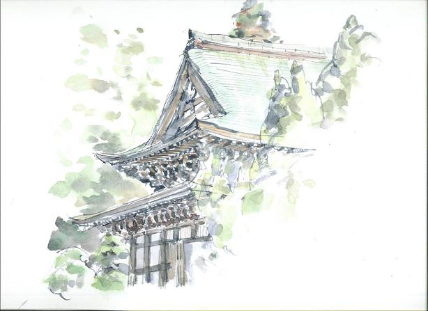 �L�m����̐��ʋ���