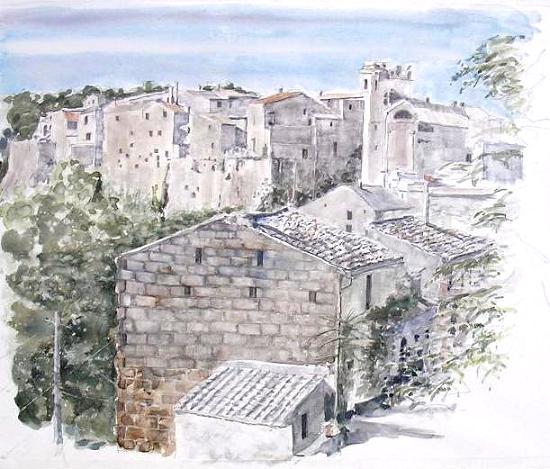 �L�m����̐��ʋ���