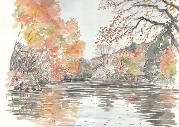 �L�m����̐��ʋ���