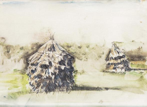 �L�m����̐��ʋ���