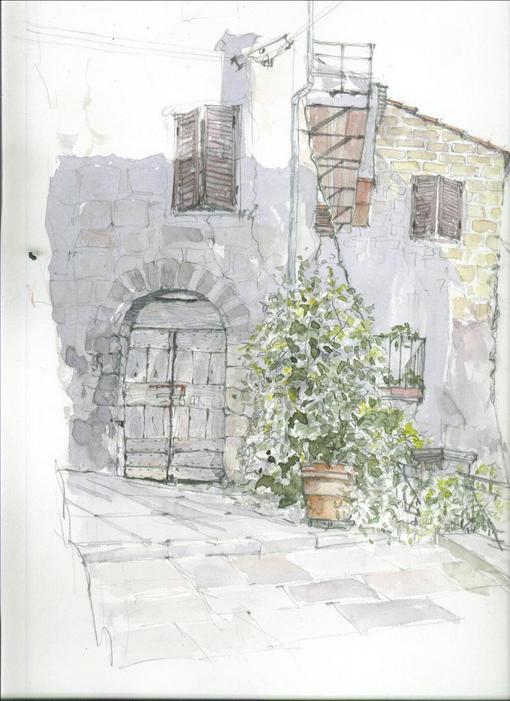 �L�m����̐��ʋ���