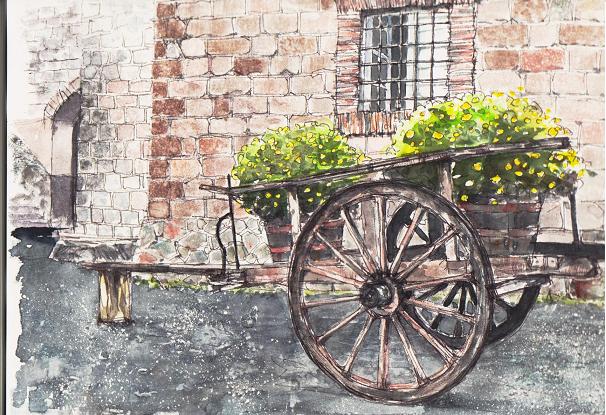 �L�m����̐��ʋ���