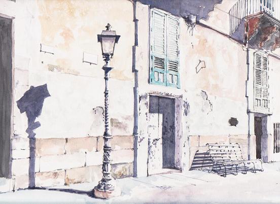 �L�m����̐��ʋ���