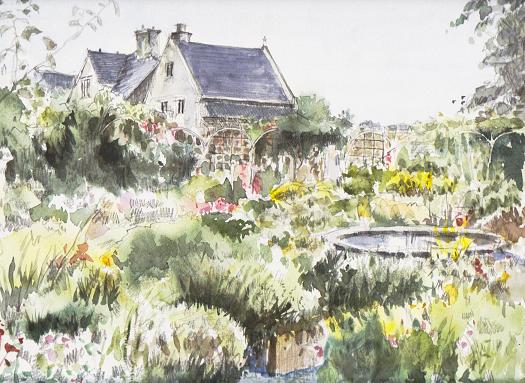 �L�m����̐��ʋ���