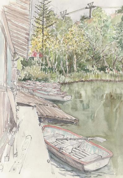 �L�m����̐��ʋ���