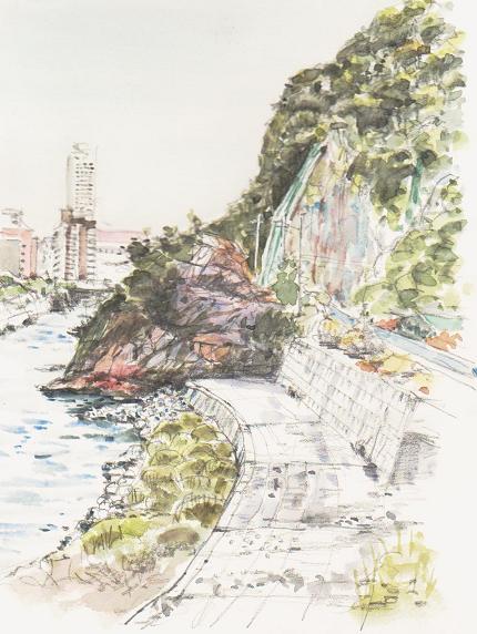 �L�m����̐��ʋ���