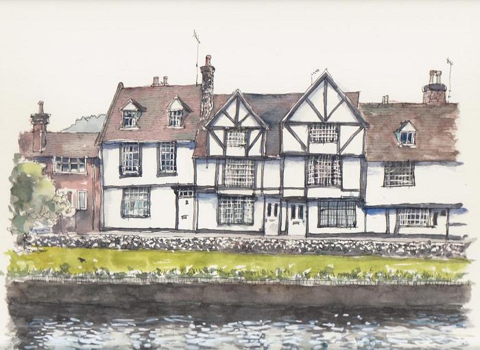 �L�m����̐��ʋ���