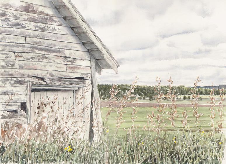 �L�m����̐��ʋ���