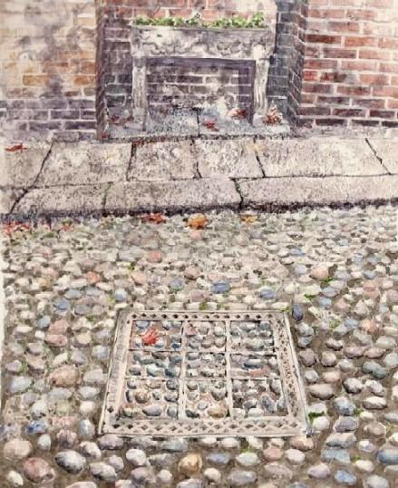 �L�m����̐��ʋ���