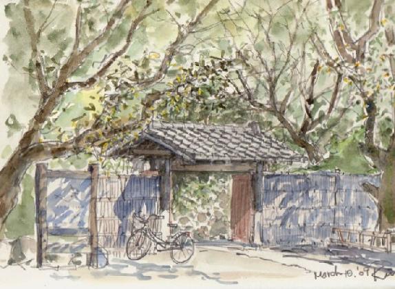 �L�m����̐��ʋ���