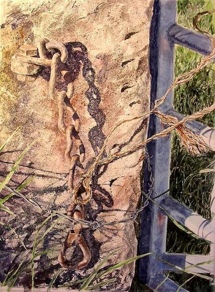 �L�m����̐��ʋ���