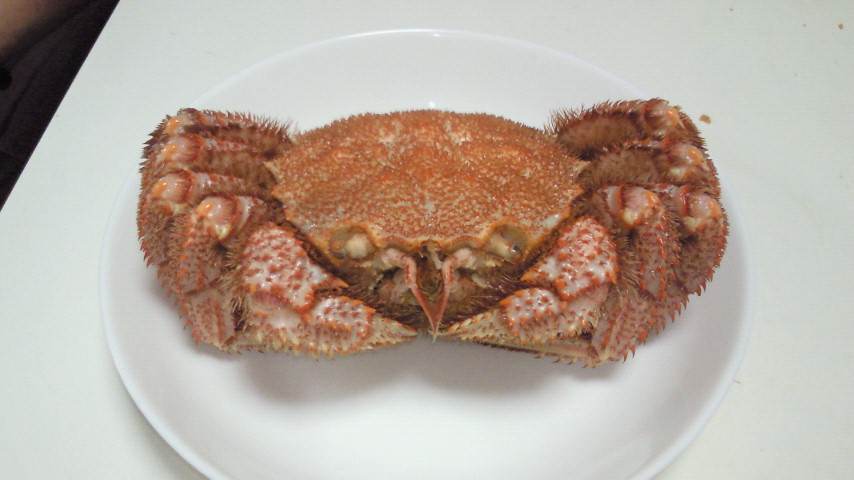 �X�̂������Ȃ����̉�����c �w�@���̖����@�x