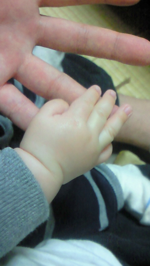 �X�̂������Ȃ����̉�����c �w�@���̖����@�x