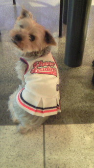 �X�̂������Ȃ����̉�����c �w�@���̖����@�x