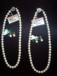 �X�̂������Ȃ����̉�����c �w�@���̖����@�x