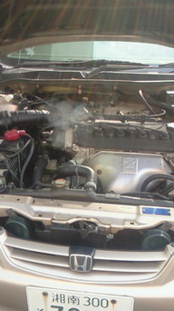 �X�̂������Ȃ����̉�����c �w�@���̖����@�x