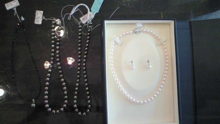 �X�̂������Ȃ����̉�����c �w�@���̖����@�x