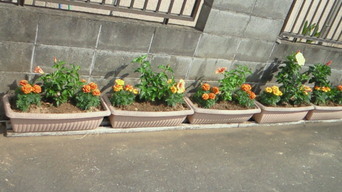 �X�̂������Ȃ����̉�����c �w�@���̖����@�x