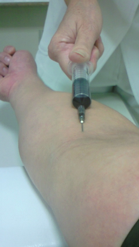 �X�̂������Ȃ����̉�����c �w�@���̖����@�x