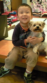 �X�̂������Ȃ����̉�����c �w�@���̖����@�x