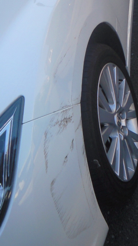 �X�̂������Ȃ����̉�����c �w�@���̖����@�x