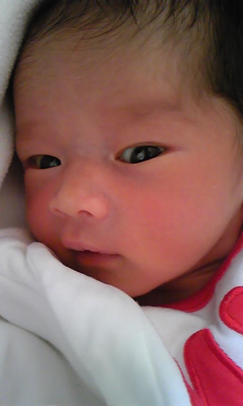 �X�̂������Ȃ����̉�����c �w�@���̖����@�x