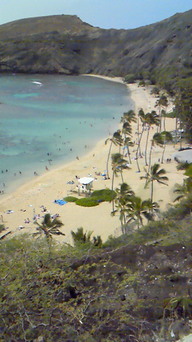 �X�̂������Ȃ����̉�����c �w�@���̖����@�x