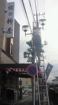 �X�̂������Ȃ����̉�����c �w�@���̖����@�x