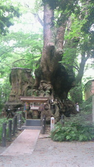 �X�̂������Ȃ����̉�����c �w�@���̖����@�x