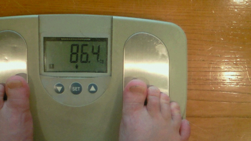 �X�̂������Ȃ����̉�����c �w�@���̖����@�x