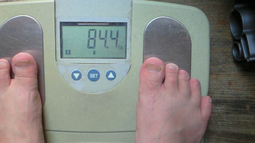 �X�̂������Ȃ����̉�����c �w�@���̖����@�x