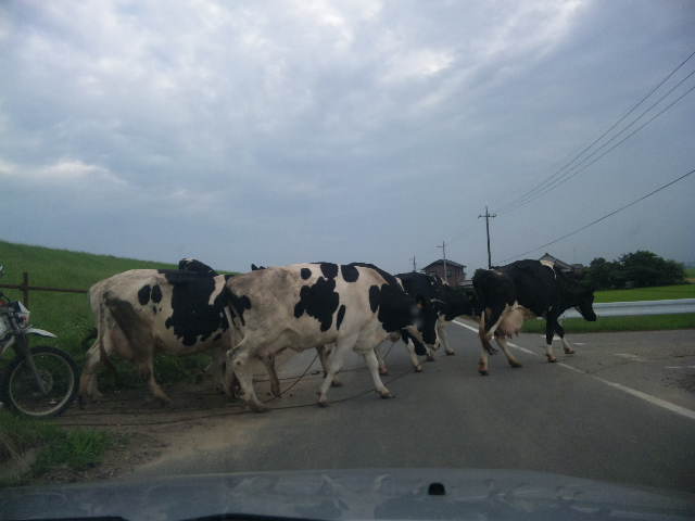 �X�̂������Ȃ����̉�����c �w�@���̖����@�x