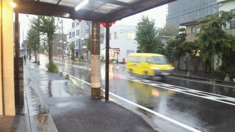 �X�̂������Ȃ����̉�����c �w�@���̖����@�x