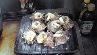 �X�̂������Ȃ����̉�����c �w�@���̖����@�x