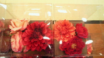 �X�̂������Ȃ����̉�����c �w�@���̖����@�x