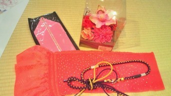 �X�̂������Ȃ����̉�����c �w�@���̖����@�x