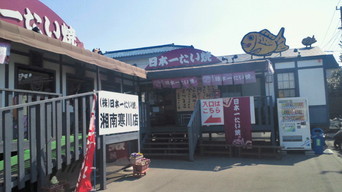 �X�̂������Ȃ����̉�����c �w�@���̖����@�x