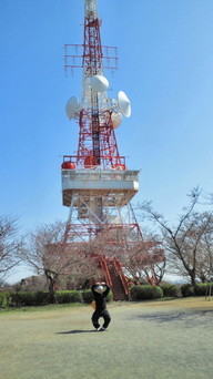 �X�̂������Ȃ����̉�����c �w�@���̖����@�x