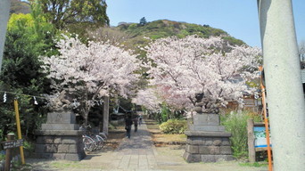 �X�̂������Ȃ����̉�����c �w�@���̖����@�x